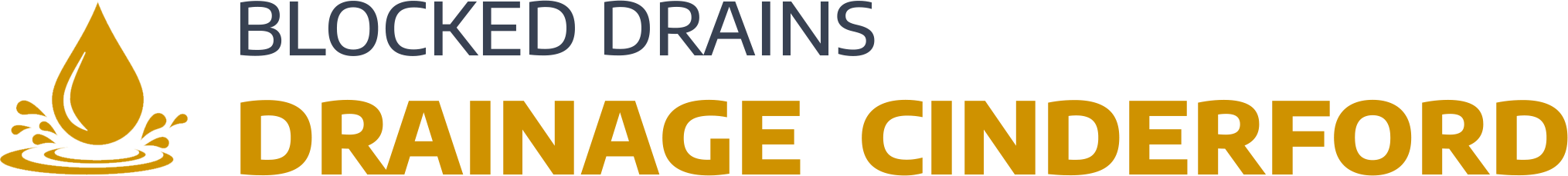 website logo